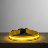 LED Night Collar - Yellow