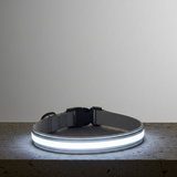 LED Night Collar - White