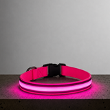LED Night Collar - Pink