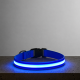 LED Night Collar - Blue