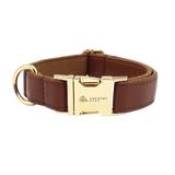 Rich Earth  - CB Walk Set