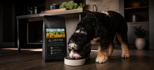 Country Barn Coupons and Promo Code