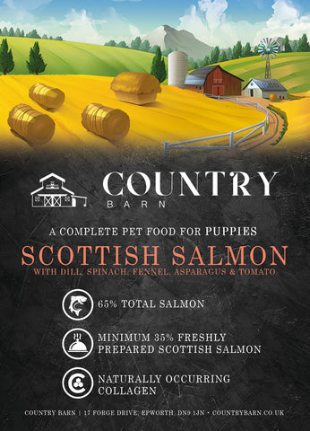 Puppy - Scottish Salmon